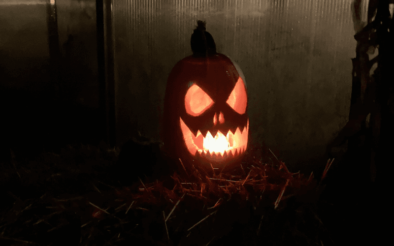 Citrouille Halloween