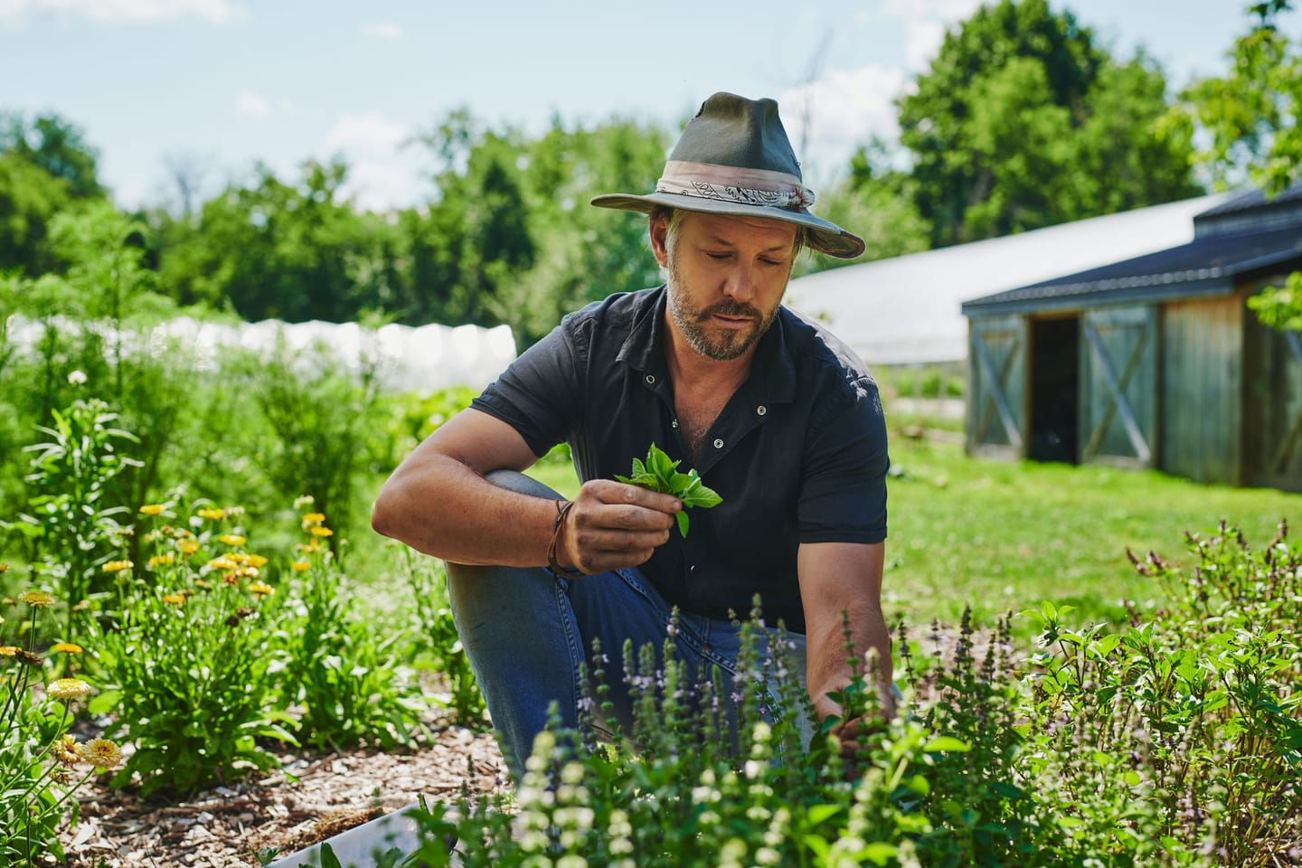 Jean-Martin Fortier dans la ferme.