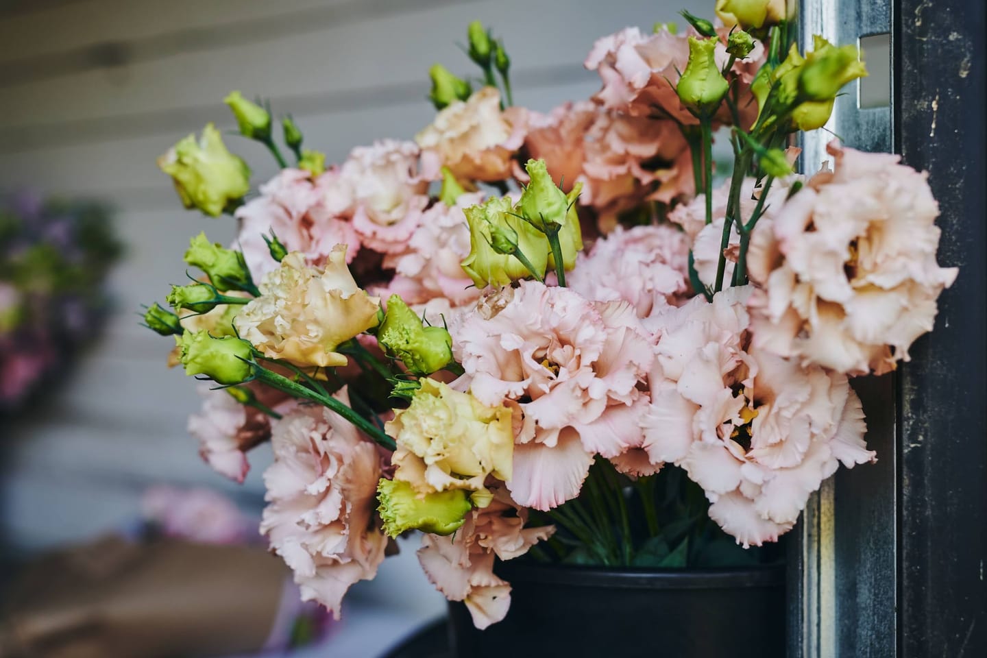 Bouquet de fleurs roses.