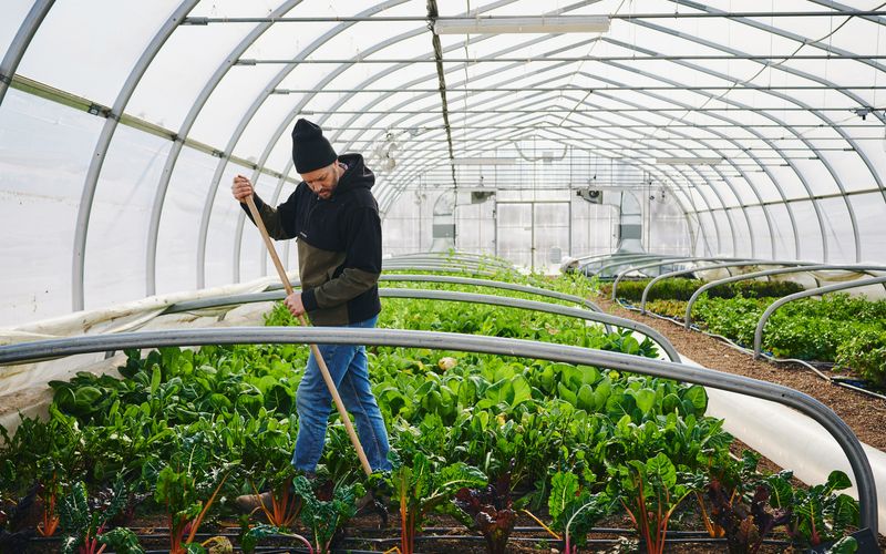 Jean-Martin Fortier working in the greenhouse at the Espace Old Mill Farm.