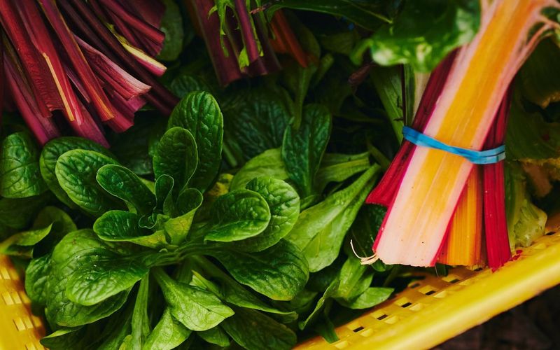 Panier de bettes à cardes, légume cultivé à la ferme de l'Espace Old Mill