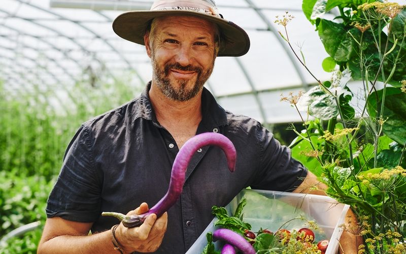 Recolte de legumes frais dans le jardin maraicher