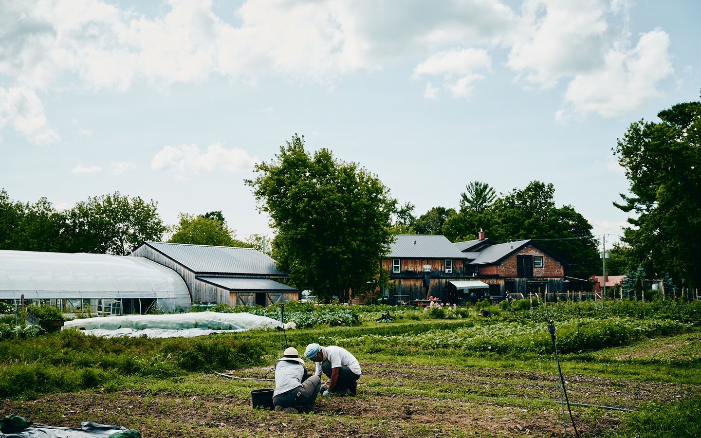Workers in the fields, Espace Old Mill Farm