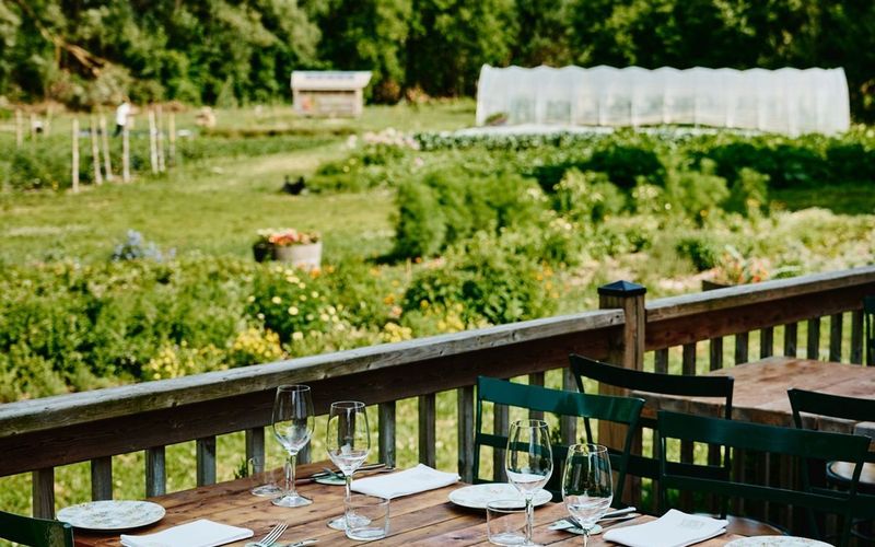 Terrasse avec vue sur le jardin maraicher