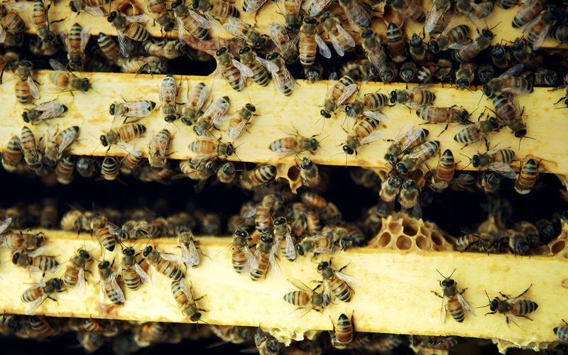 Episode 7 L ete tire a sa fin